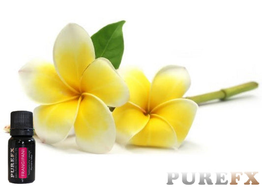 Frangipani Essential Oil