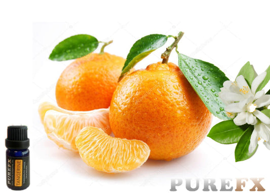 Tangerine Essential Oil