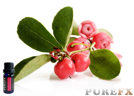 Wintergreen Essential Oil