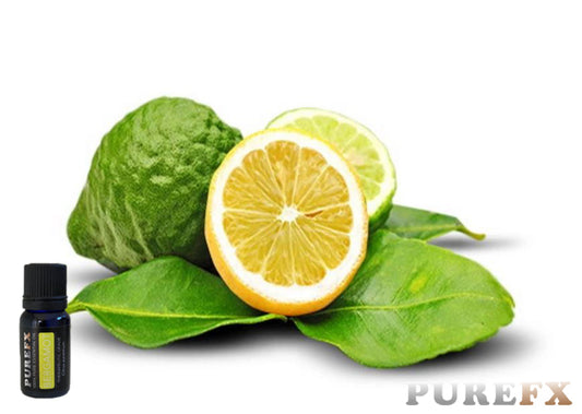 Bergamot Essential Oil