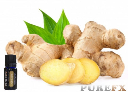 Ginger Essential Oil